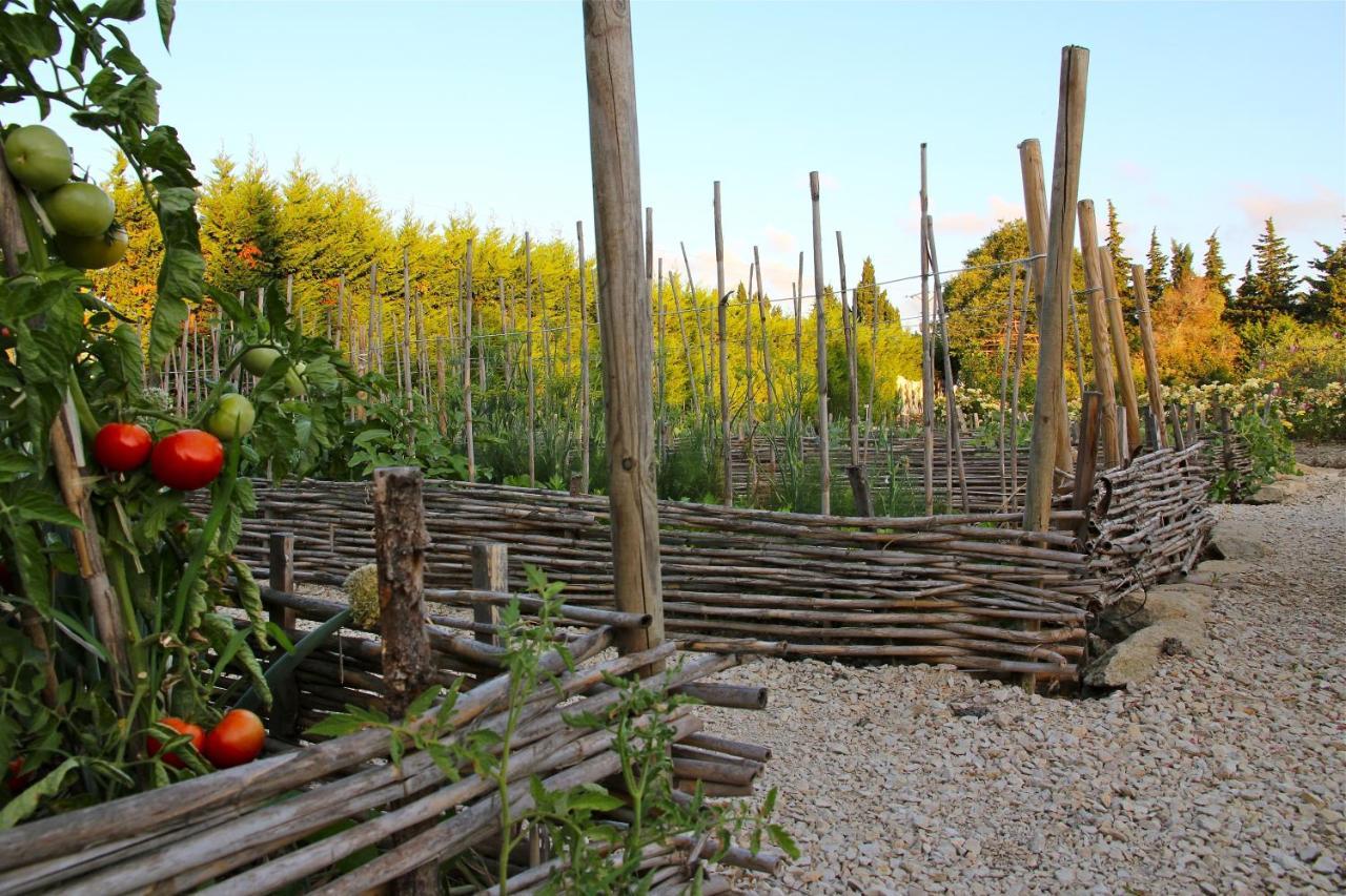 Mas Des Figues - Mas Xviiie - Ouvert 01 Mai Au 30 Septembre 2025 - Piscine Tres Calme - Alpilles Saint Remy De Provence - Cuisine Faite Maison Brunch Mediterraneen - Certifie Biologique Frbio10 Potager Huile D'Olive Bio Roseraie Biodiversite Agritour Buitenkant foto
