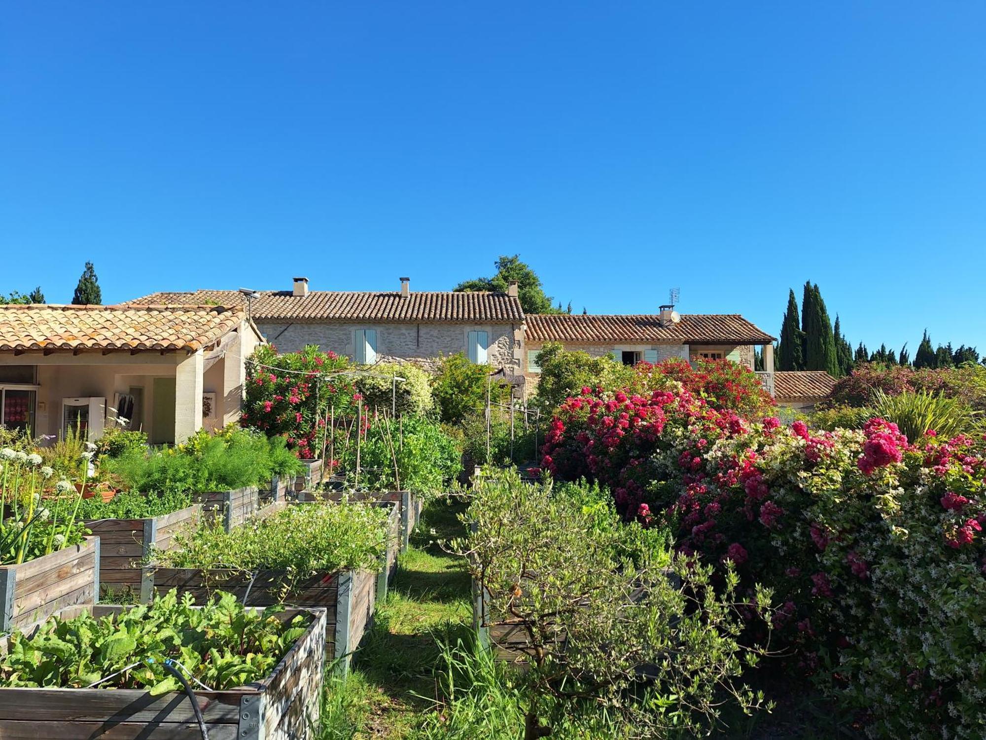Mas Des Figues - Mas Xviiie - Ouvert 01 Mai Au 30 Septembre 2025 - Piscine Tres Calme - Alpilles Saint Remy De Provence - Cuisine Faite Maison Brunch Mediterraneen - Certifie Biologique Frbio10 Potager Huile D'Olive Bio Roseraie Biodiversite Agritour Buitenkant foto