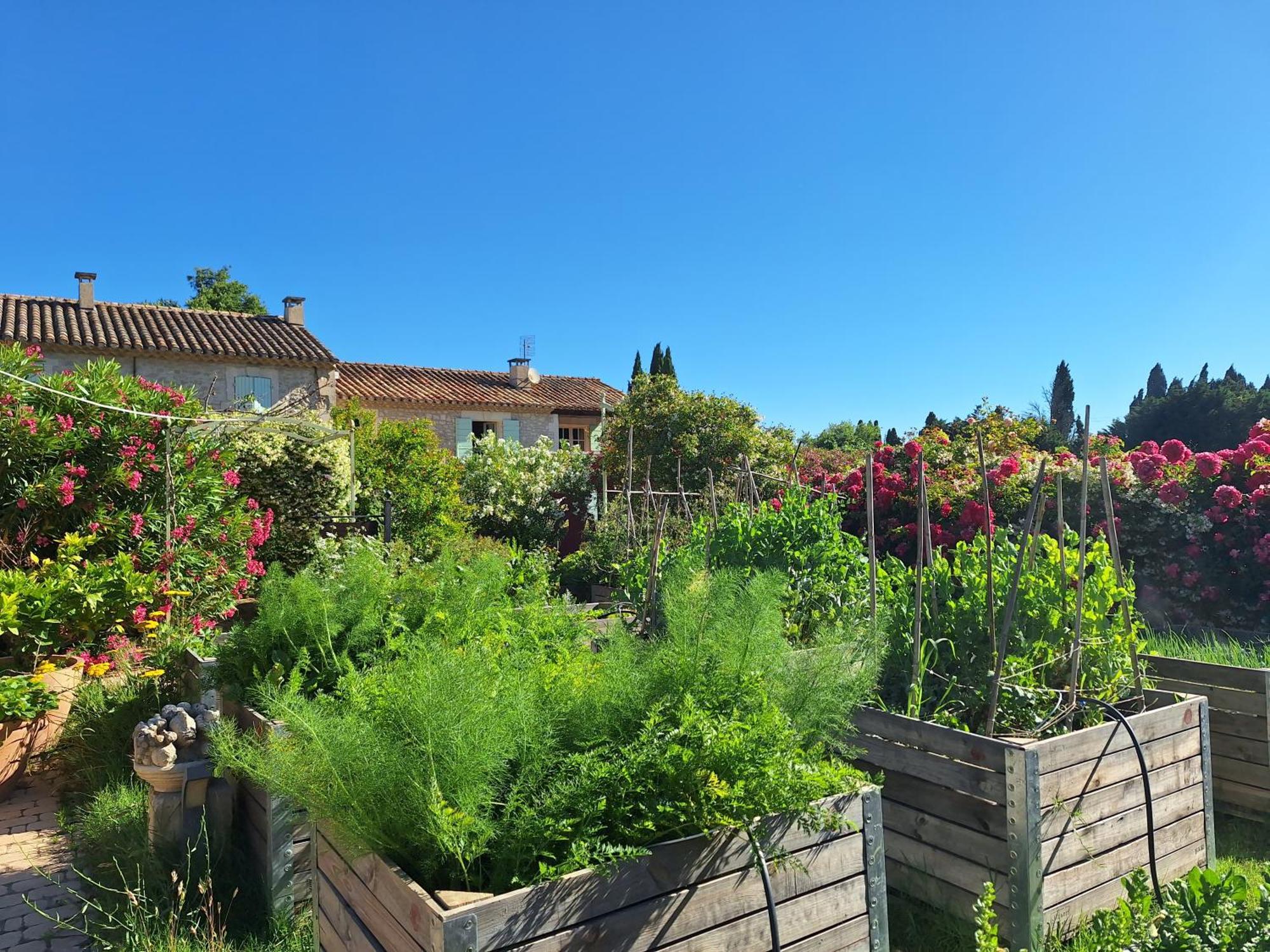 Mas Des Figues - Mas Xviiie - Ouvert 01 Mai Au 30 Septembre 2025 - Piscine Tres Calme - Alpilles Saint Remy De Provence - Cuisine Faite Maison Brunch Mediterraneen - Certifie Biologique Frbio10 Potager Huile D'Olive Bio Roseraie Biodiversite Agritour Buitenkant foto