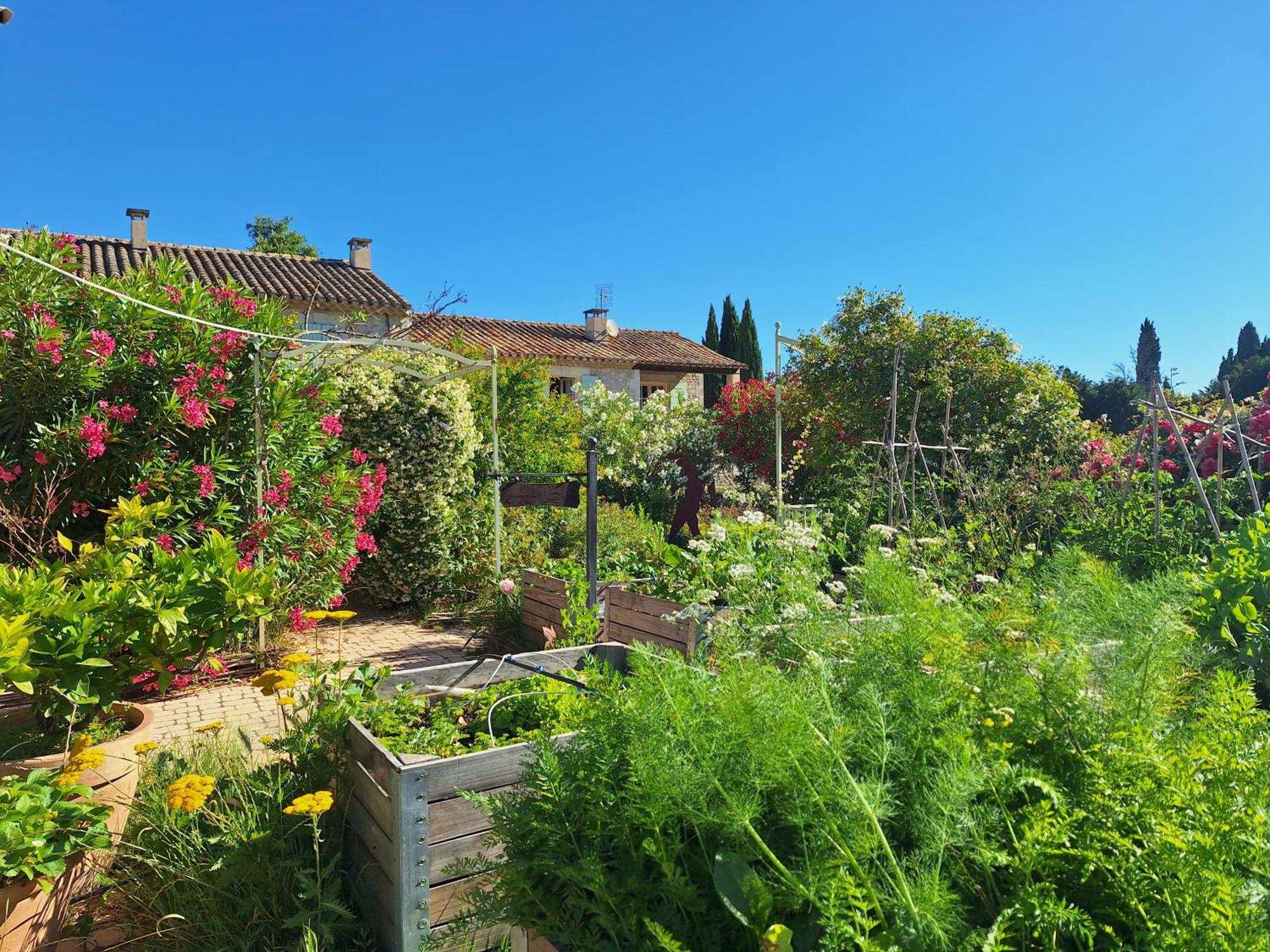 Mas Des Figues - Mas Xviiie - Ouvert 01 Mai Au 30 Septembre 2025 - Piscine Tres Calme - Alpilles Saint Remy De Provence - Cuisine Faite Maison Brunch Mediterraneen - Certifie Biologique Frbio10 Potager Huile D'Olive Bio Roseraie Biodiversite Agritour Buitenkant foto