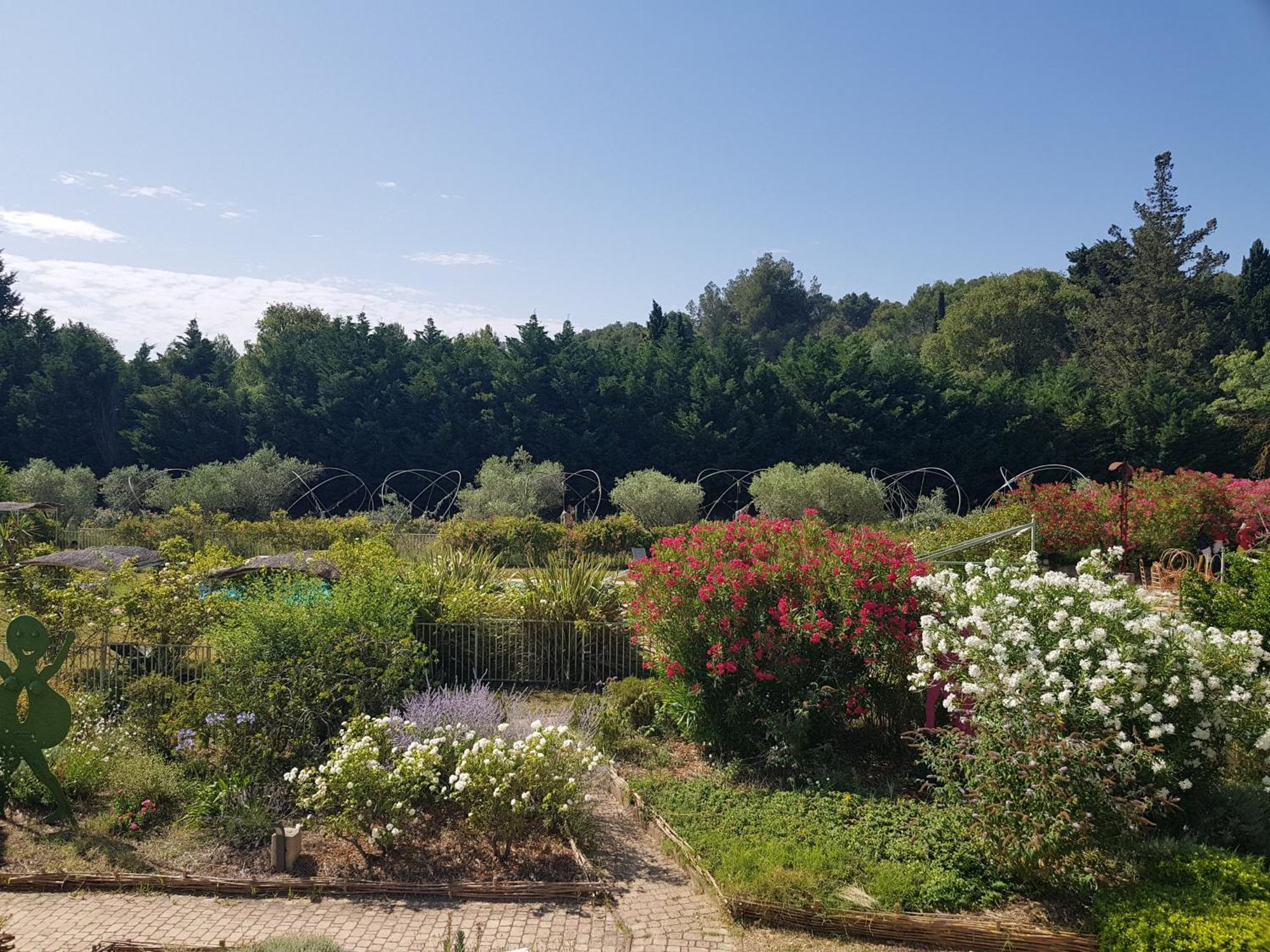 Mas Des Figues - Mas Xviiie - Ouvert 01 Mai Au 30 Septembre 2025 - Piscine Tres Calme - Alpilles Saint Remy De Provence - Cuisine Faite Maison Brunch Mediterraneen - Certifie Biologique Frbio10 Potager Huile D'Olive Bio Roseraie Biodiversite Agritour Buitenkant foto