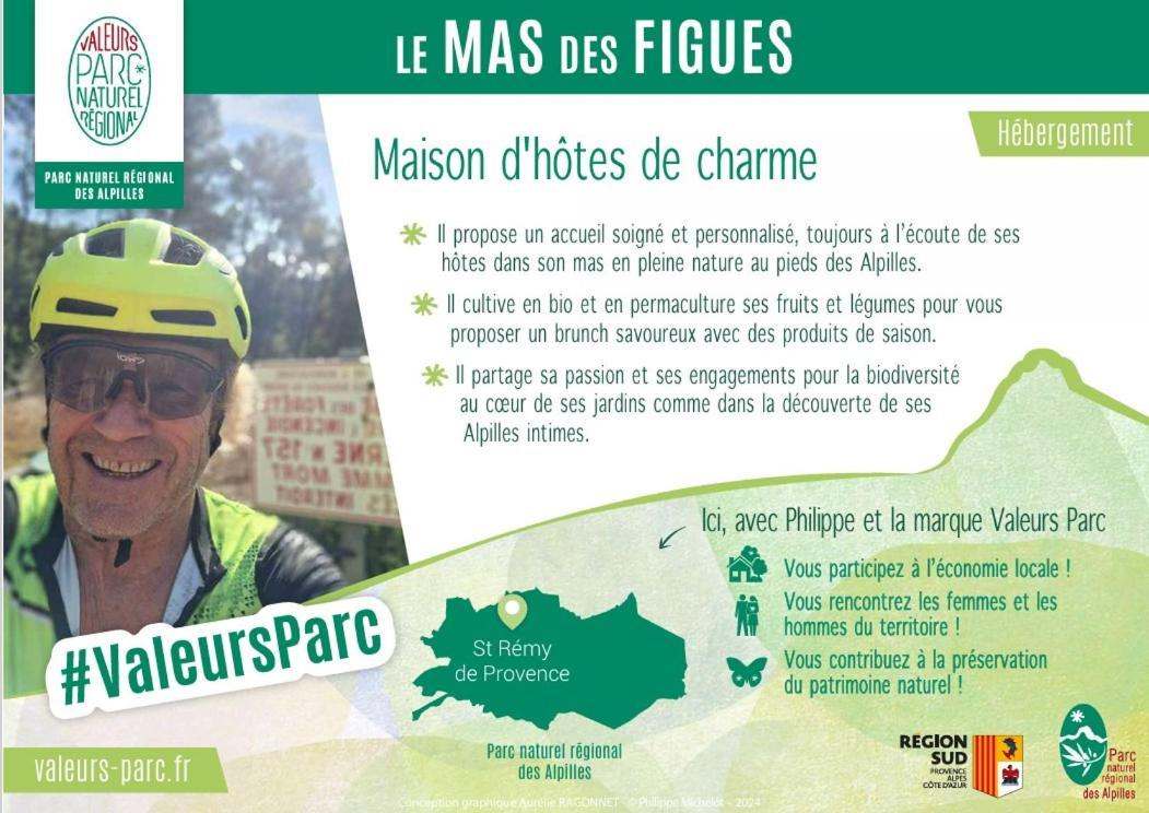 Mas Des Figues - Mas Xviiie - Ouvert 01 Mai Au 30 Septembre 2025 - Piscine Tres Calme - Alpilles Saint Remy De Provence - Cuisine Faite Maison Brunch Mediterraneen - Certifie Biologique Frbio10 Potager Huile D'Olive Bio Roseraie Biodiversite Agritour Buitenkant foto