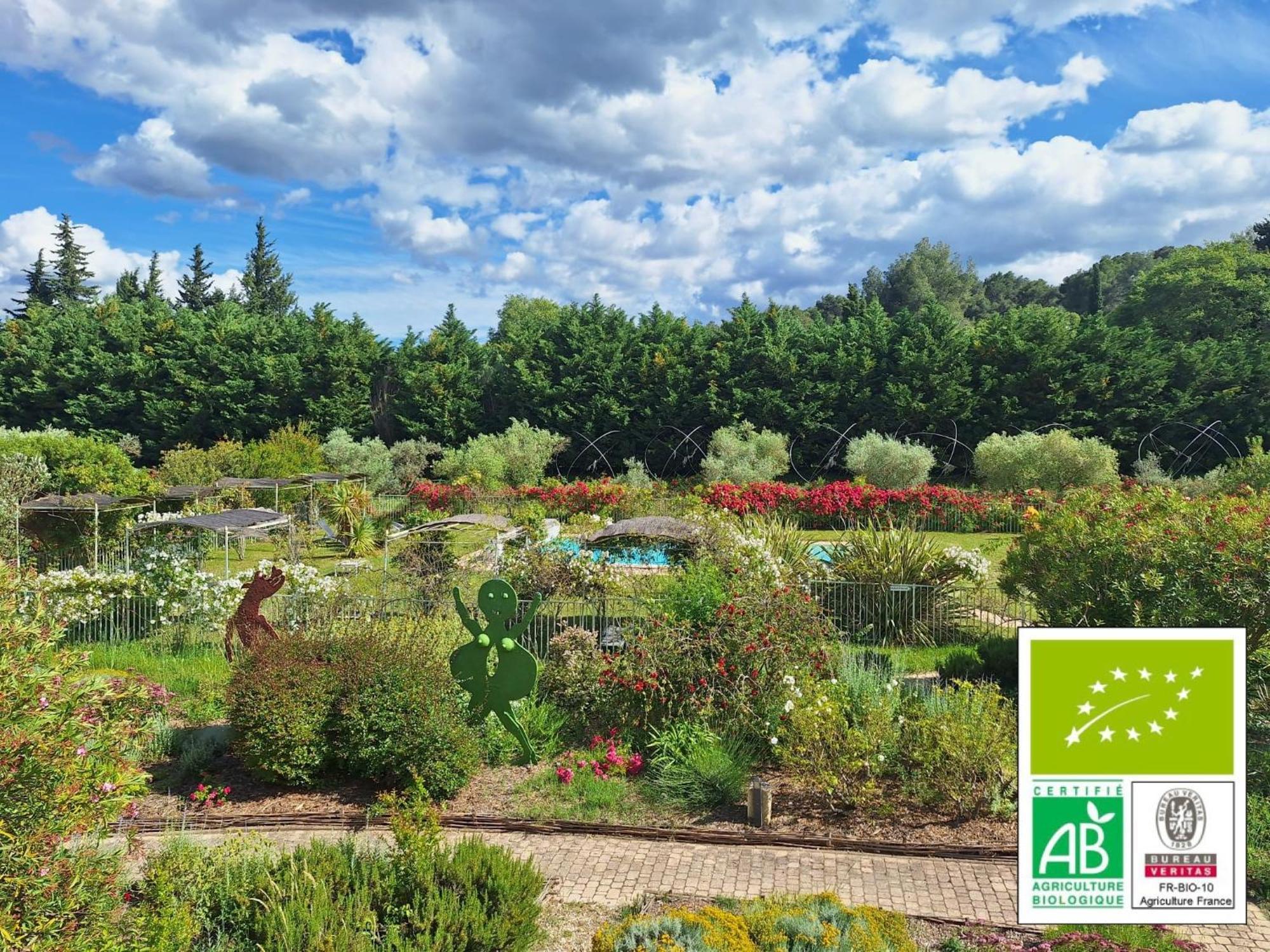 Mas Des Figues - Mas Xviiie - Ouvert 01 Mai Au 30 Septembre 2025 - Piscine Tres Calme - Alpilles Saint Remy De Provence - Cuisine Faite Maison Brunch Mediterraneen - Certifie Biologique Frbio10 Potager Huile D'Olive Bio Roseraie Biodiversite Agritour Buitenkant foto