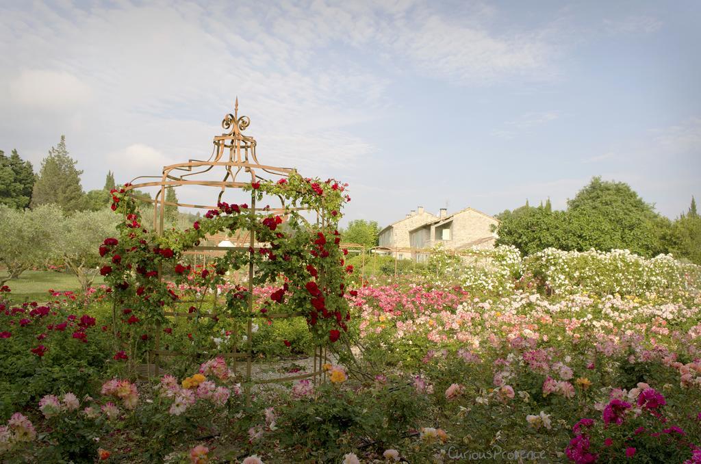 Mas Des Figues - Mas Xviiie - Ouvert 01 Mai Au 30 Septembre 2025 - Piscine Tres Calme - Alpilles Saint Remy De Provence - Cuisine Faite Maison Brunch Mediterraneen - Certifie Biologique Frbio10 Potager Huile D'Olive Bio Roseraie Biodiversite Agritour Buitenkant foto