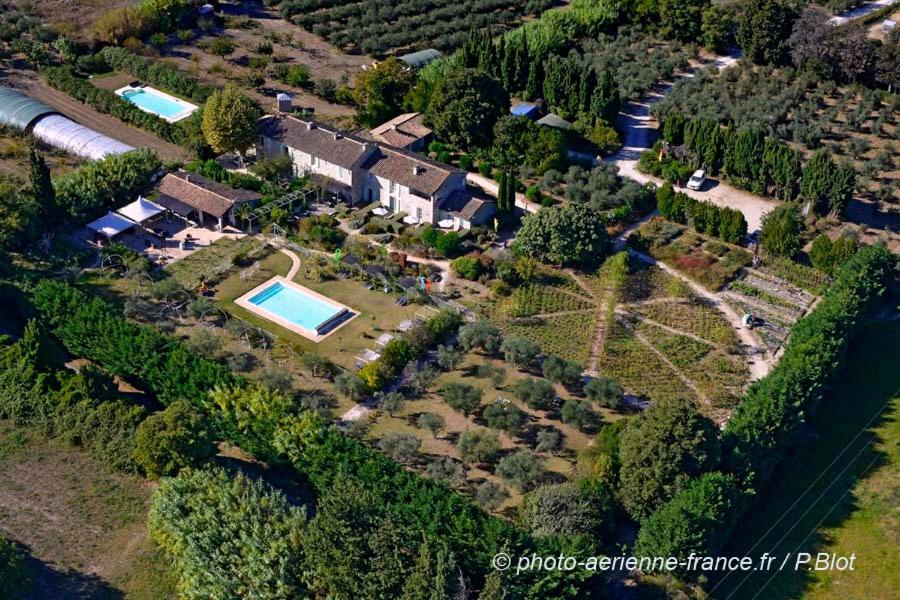 Mas Des Figues - Mas Xviiie - Ouvert 01 Mai Au 30 Septembre 2025 - Piscine Tres Calme - Alpilles Saint Remy De Provence - Cuisine Faite Maison Brunch Mediterraneen - Certifie Biologique Frbio10 Potager Huile D'Olive Bio Roseraie Biodiversite Agritour Buitenkant foto