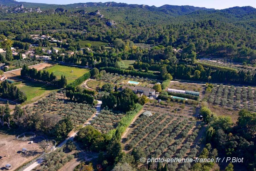 Mas Des Figues - Mas Xviiie - Ouvert 01 Mai Au 30 Septembre 2025 - Piscine Tres Calme - Alpilles Saint Remy De Provence - Cuisine Faite Maison Brunch Mediterraneen - Certifie Biologique Frbio10 Potager Huile D'Olive Bio Roseraie Biodiversite Agritour Buitenkant foto