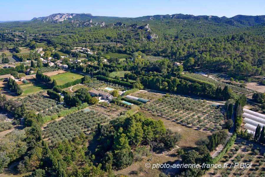 Mas Des Figues - Mas Xviiie - Ouvert 01 Mai Au 30 Septembre 2025 - Piscine Tres Calme - Alpilles Saint Remy De Provence - Cuisine Faite Maison Brunch Mediterraneen - Certifie Biologique Frbio10 Potager Huile D'Olive Bio Roseraie Biodiversite Agritour Buitenkant foto