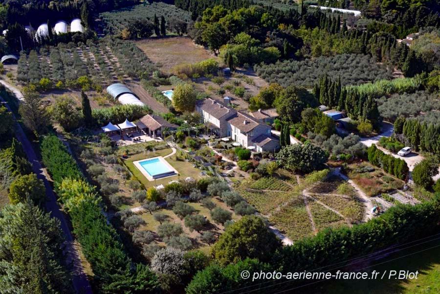 Mas Des Figues - Mas Xviiie - Ouvert 01 Mai Au 30 Septembre 2025 - Piscine Tres Calme - Alpilles Saint Remy De Provence - Cuisine Faite Maison Brunch Mediterraneen - Certifie Biologique Frbio10 Potager Huile D'Olive Bio Roseraie Biodiversite Agritour Buitenkant foto